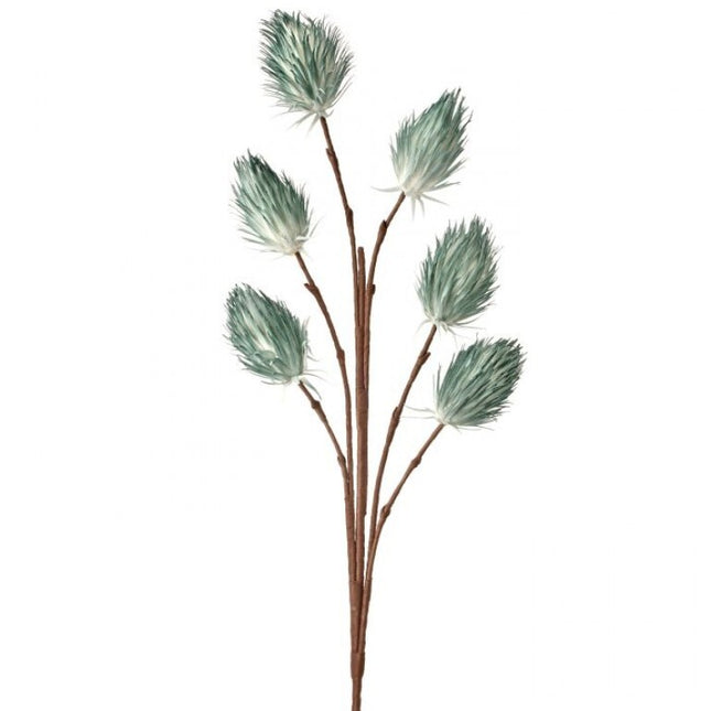 46" Foam Thistle x 6