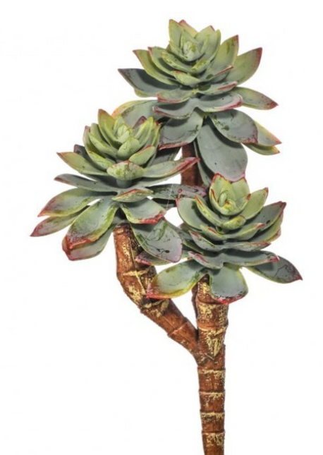 Star Succulent Pick 7"