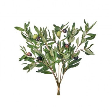 Olive Leaf Bundle