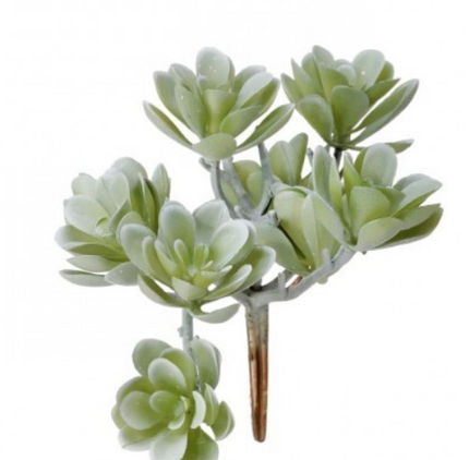 Creeping Succulent Cluster Pick
