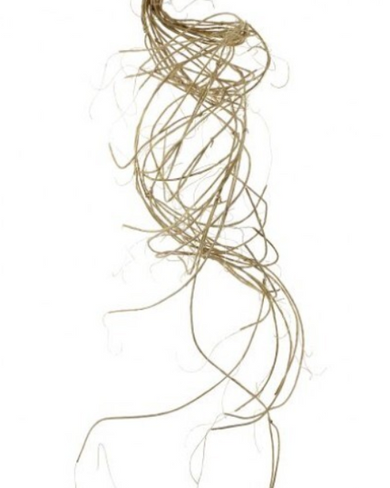 Wrapped Twig Garland 60"