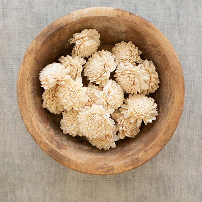 Dried Zinnias bag of 16