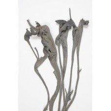 Natrag Grey Wash