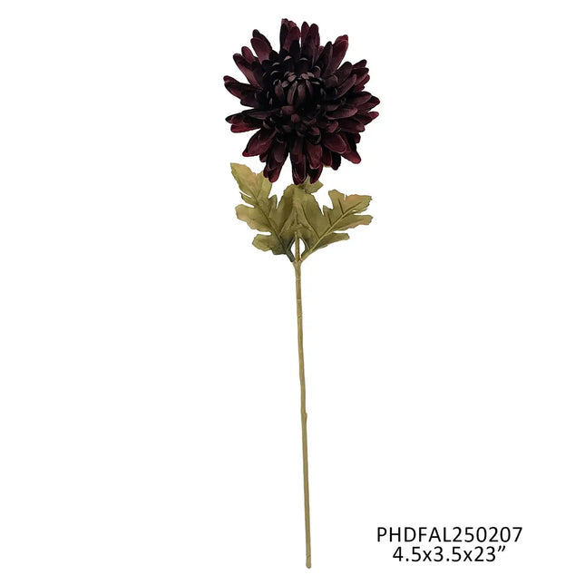 County Fair Chrysanthemum Clove Stem