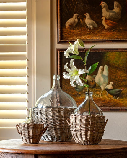 Asiatic Lily White
