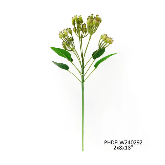 Green Rosehip Stem