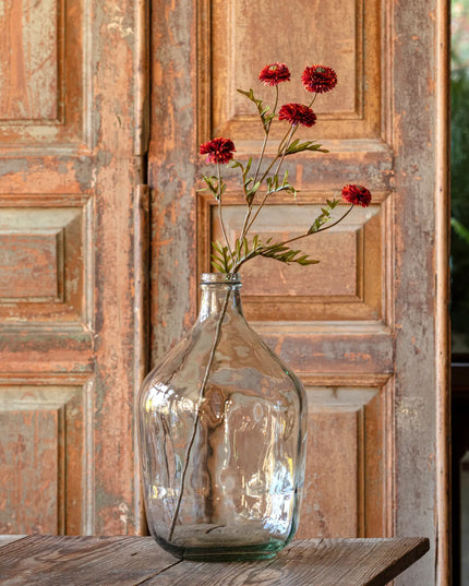 Aster Rust