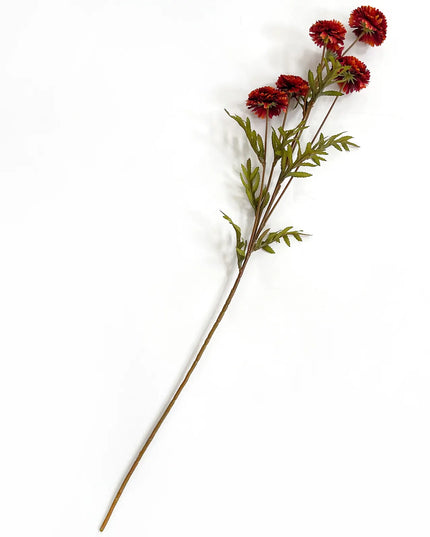 Aster Rust