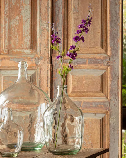 Larkspur