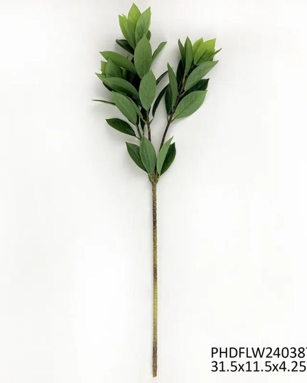Bay Leaf Branch