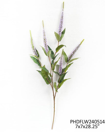 Veronica Lavender