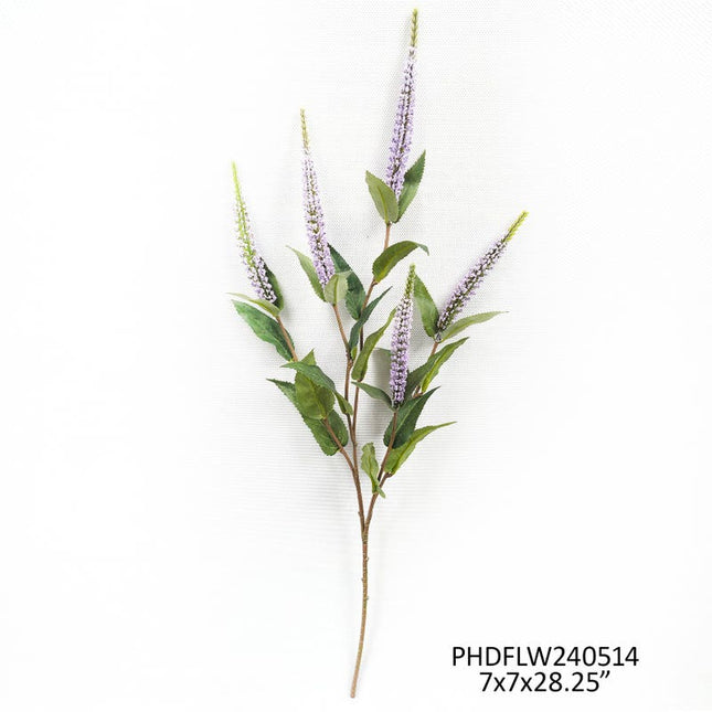 Veronica Lavender