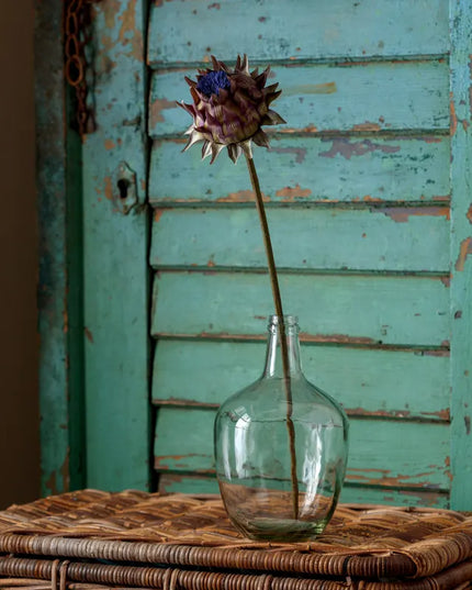 Purple Blooming Artichoke Stem