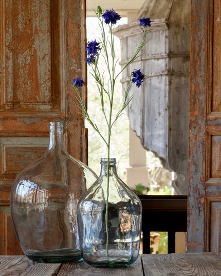 Bachelor Button Deep Blue