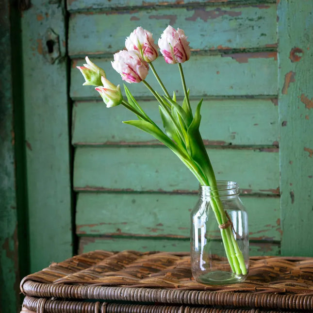 White-Magenta Parrot Tulip Bunch
