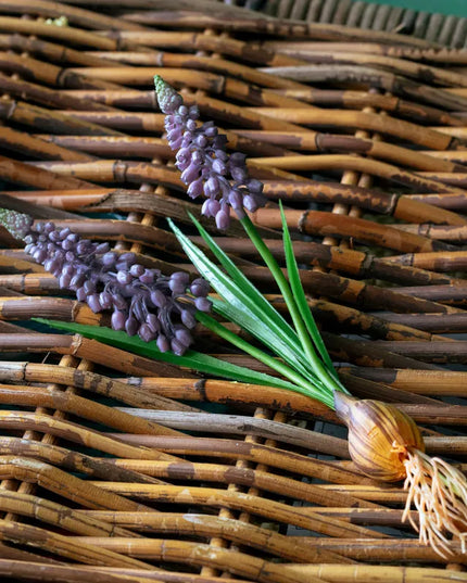 Grape Hyacinth Bulb Pick