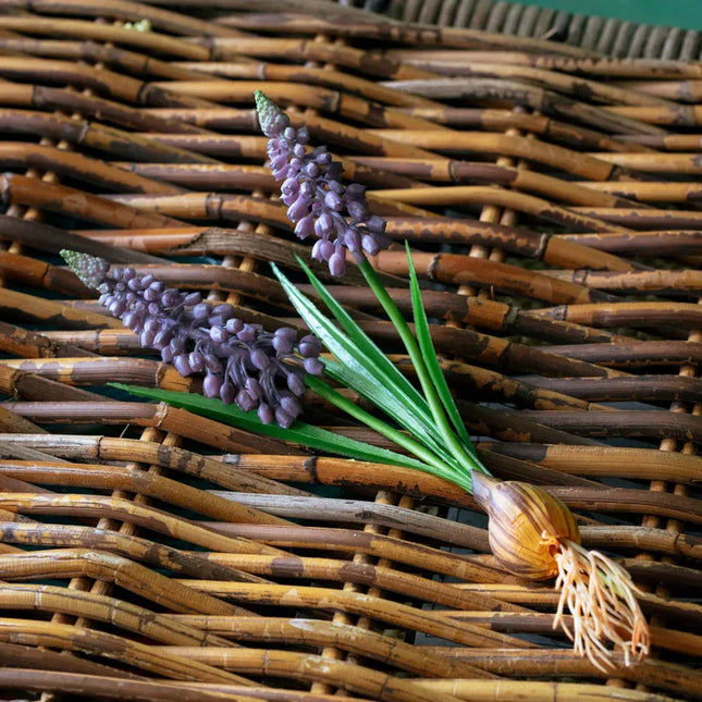 Grape Hyacinth Bulb Pick