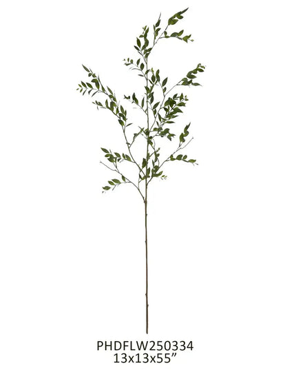 Southern Smilax Branch