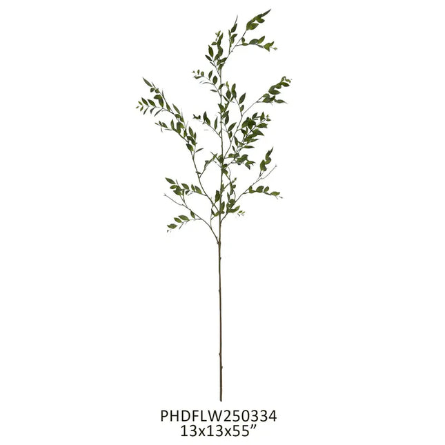Southern Smilax Branch