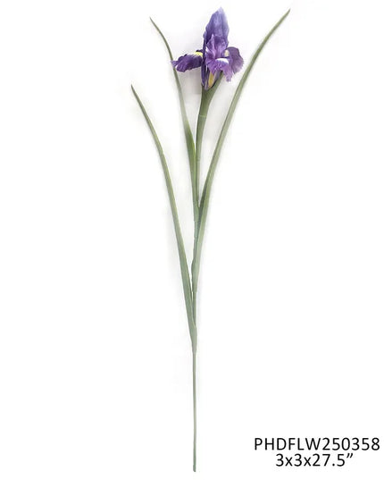 Cottage Iris Dark Violet