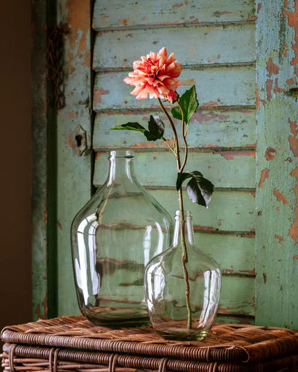 Jardin Dahlia