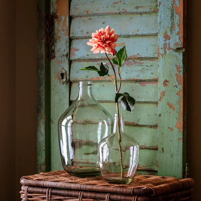 Jardin Dahlia