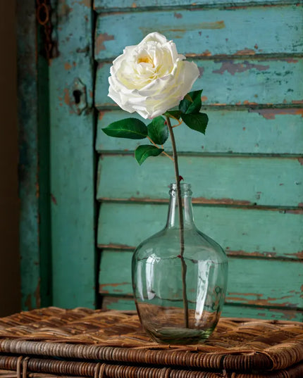 Empress Garden Rose Stem White