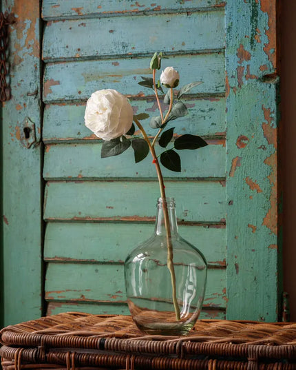 Parisian Rose Blanc