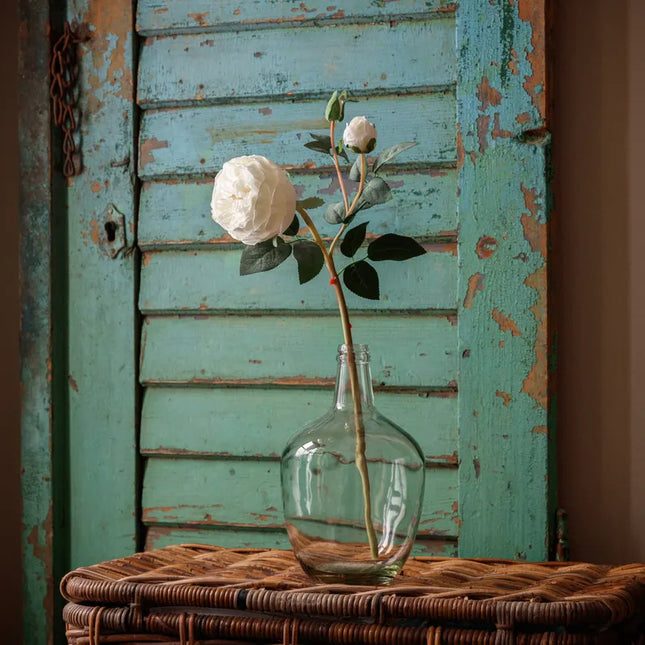 Parisian Rose Blanc
