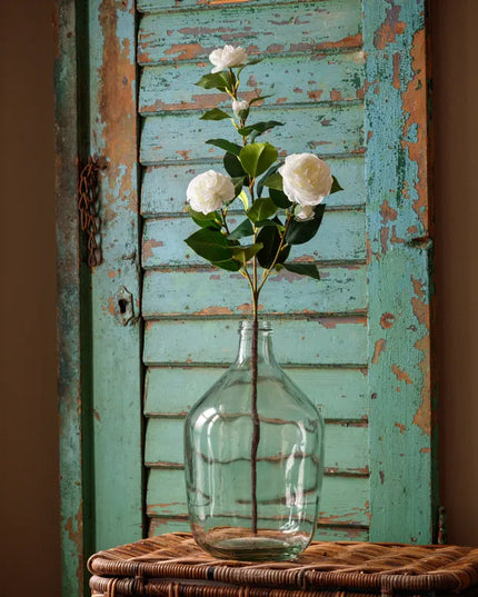 Camillia White Stem