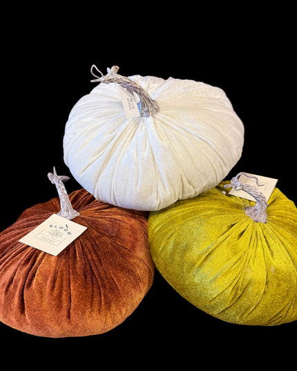 Velvet Pumpkin