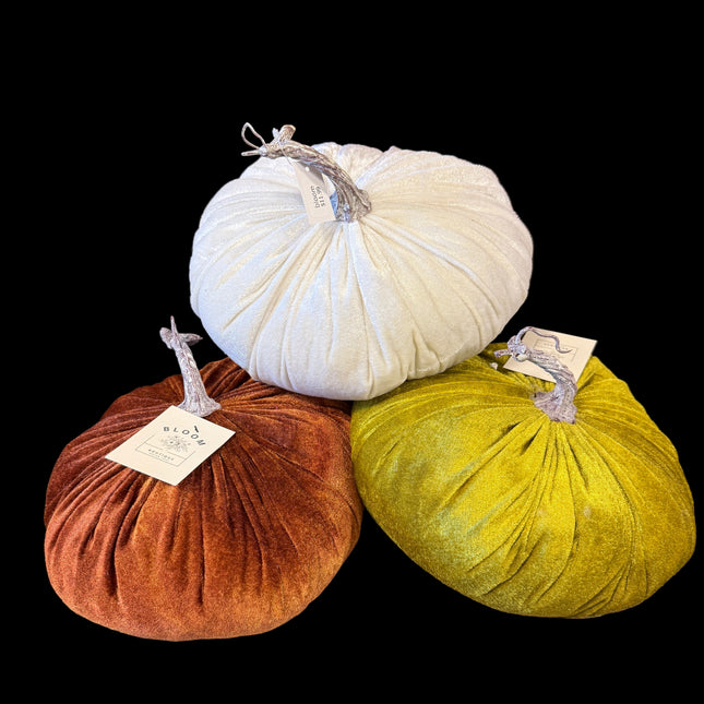 Velvet Pumpkin