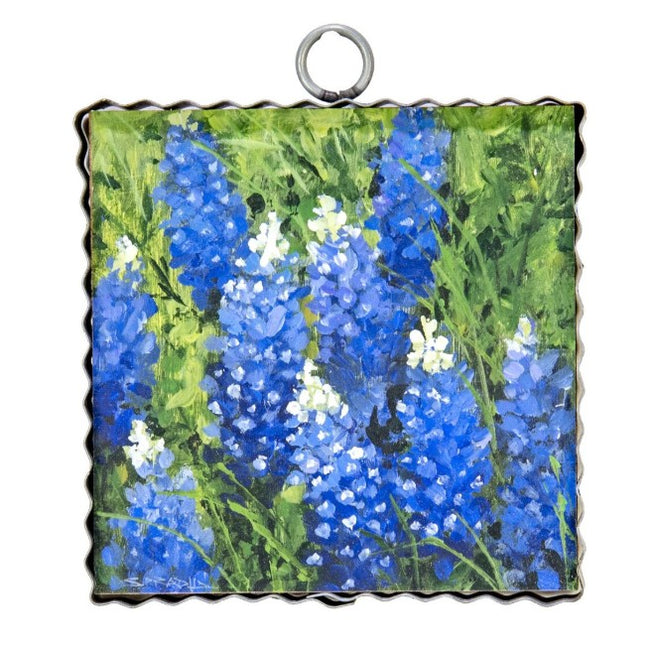 Mini Gallery Bluebonnets