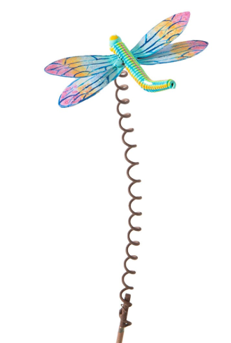 Artful Dragonfly