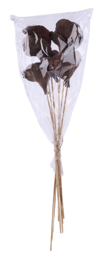 23.5" Badam Nut Twig Stem Bundle