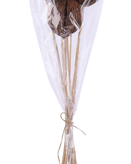 Mintola Ball Twig Stem Bundle