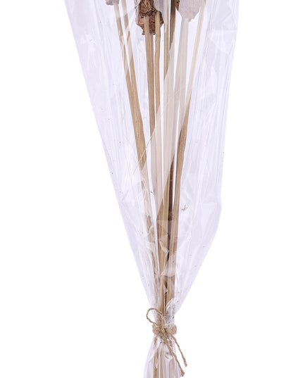 23.5" Mahogany Pod Stem Bundle