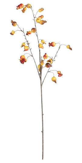 Pomegranate Spray