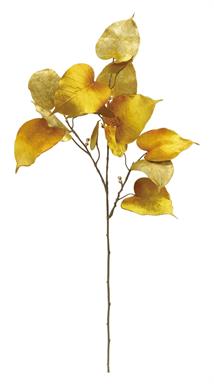 Velvet Ficus Spray