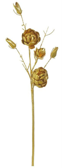Protea