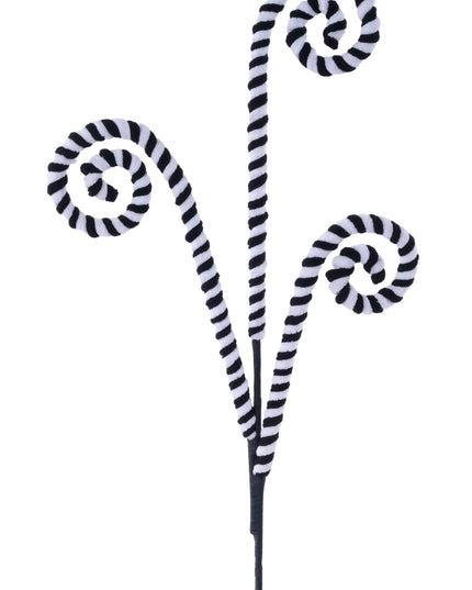 Black White Coil Spray