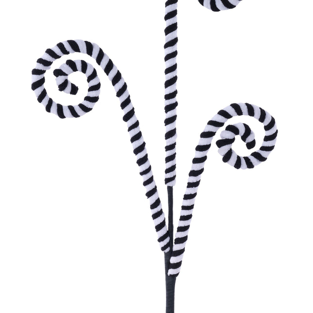 Black White Coil Spray