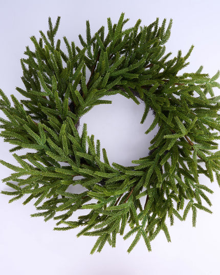 24" Norfolk Island Pine Wreath