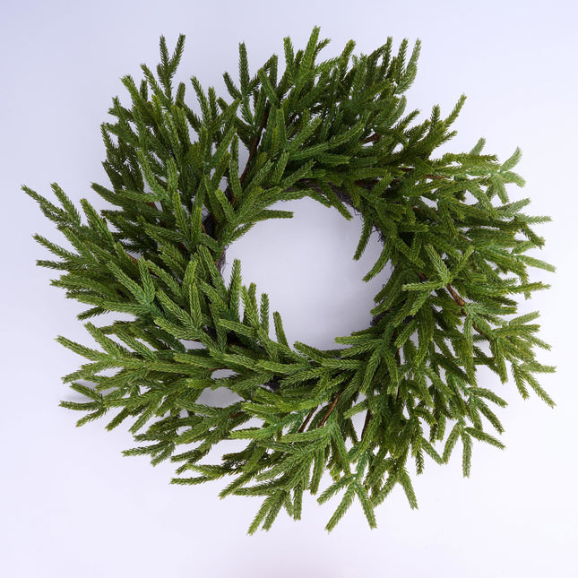 24" Norfolk Island Pine Wreath