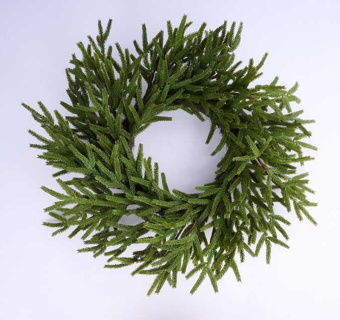 24" Norfolk Island Pine Wreath