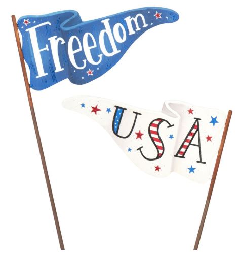 Freedom or USA Pennant Flag