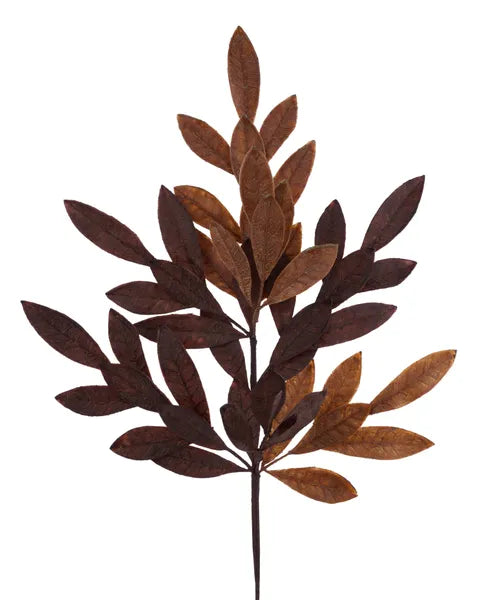 23.5"L Bay Leaf Spray