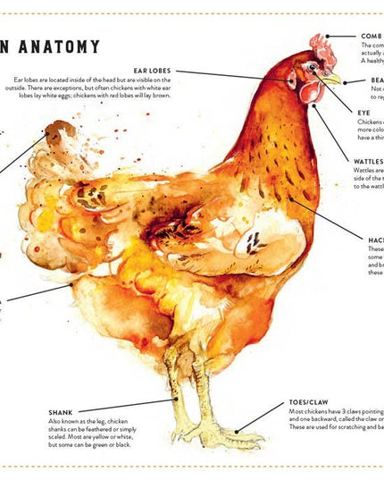 Little Book of Chickens, The : Jessica Ford