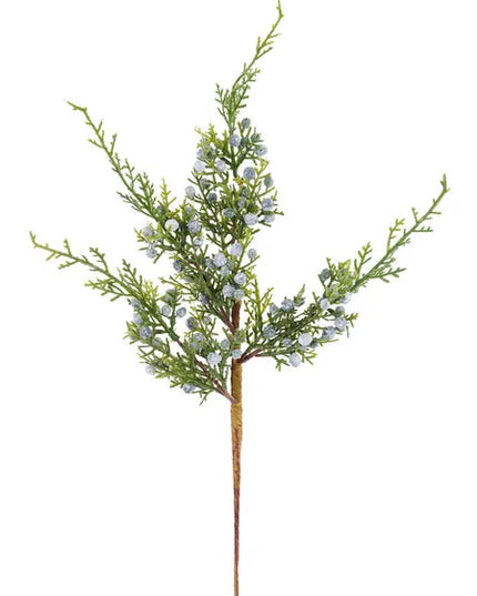 17"L Juniper Spray x 16 W/Berries
