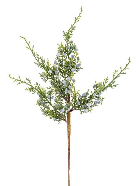 17"L Juniper Spray x 16 W/Berries